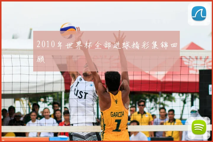 2010年世界杯全部进球精彩集锦回顾
