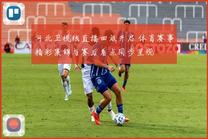 河北卫视线直播回放开启 体育赛事精彩集锦与赛后看点同步呈现