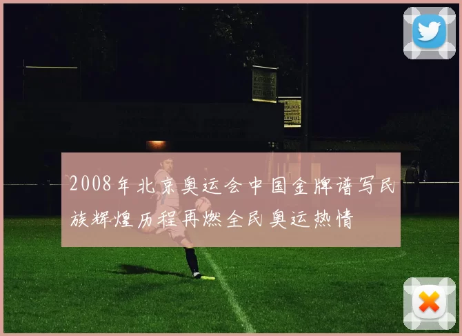 2008年北京奥运会中国金牌谱写民族辉煌历程再燃全民奥运热情