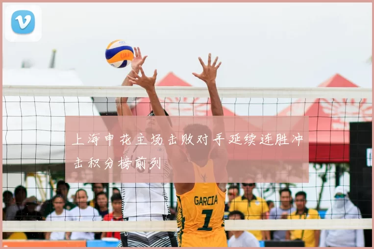 上海申花主场击败对手延续连胜冲击积分榜前列