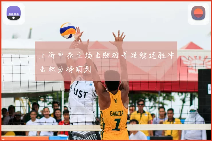 上海申花主场击败对手延续连胜冲击积分榜前列