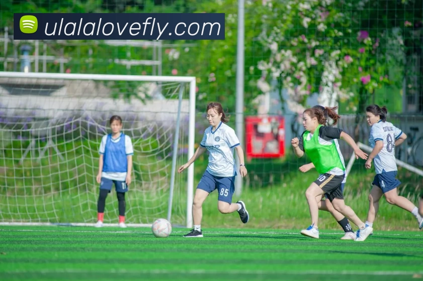 星空体育平台生态图